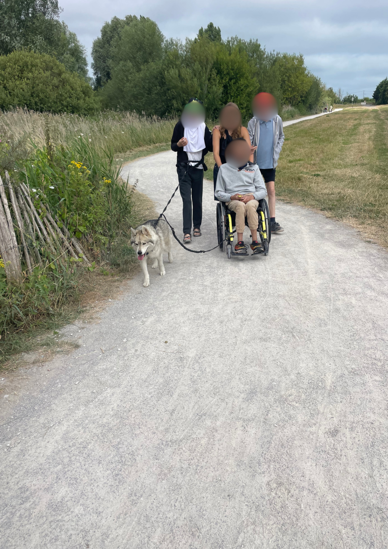 cani balade Pixapa USCV