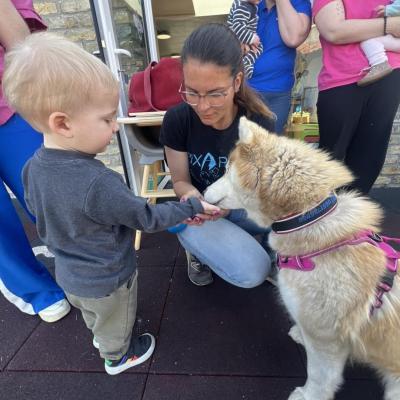 Pixapa en micro crèche. Souky le husky