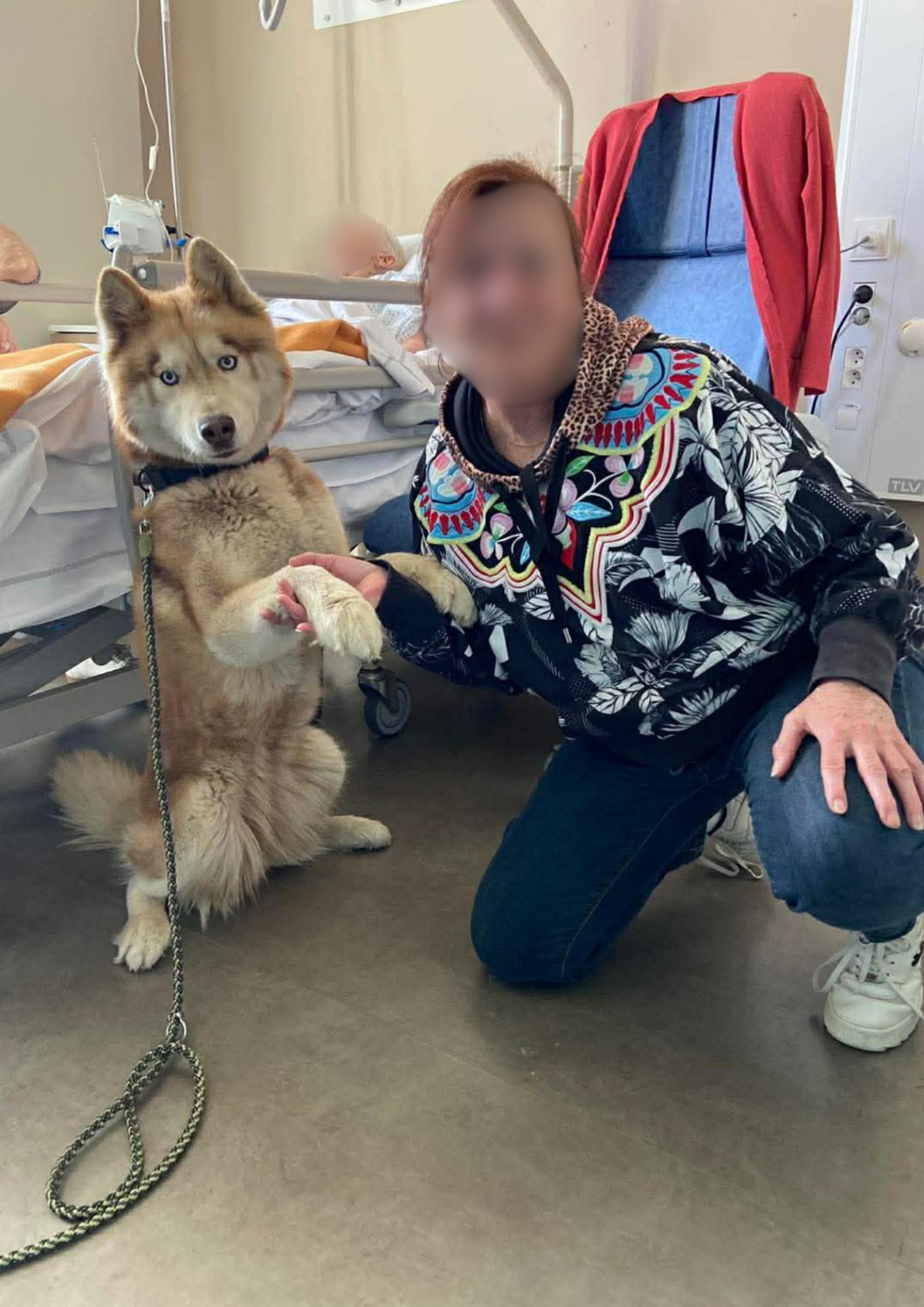 Cani balade et médiation animale Pixapa