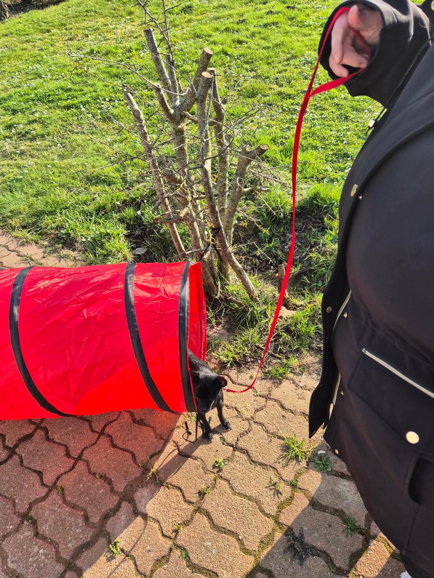 7592eeaab1394babc567065fc7b2cc21