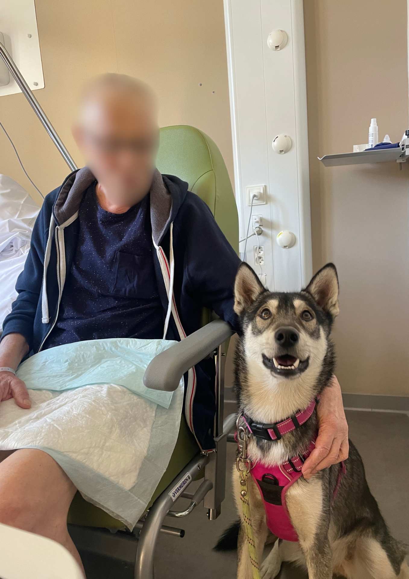 animaux visiteur Pixapa soins palliatif