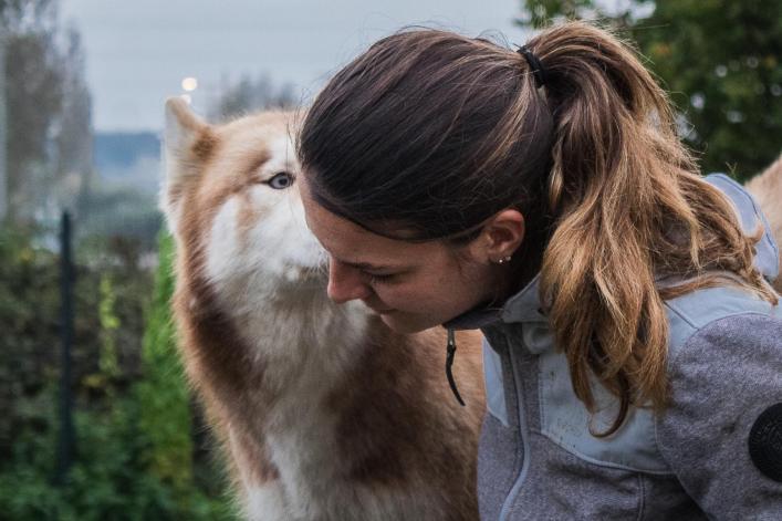 Chien calme et apaisé lors d'une séance d'accompagnement canin