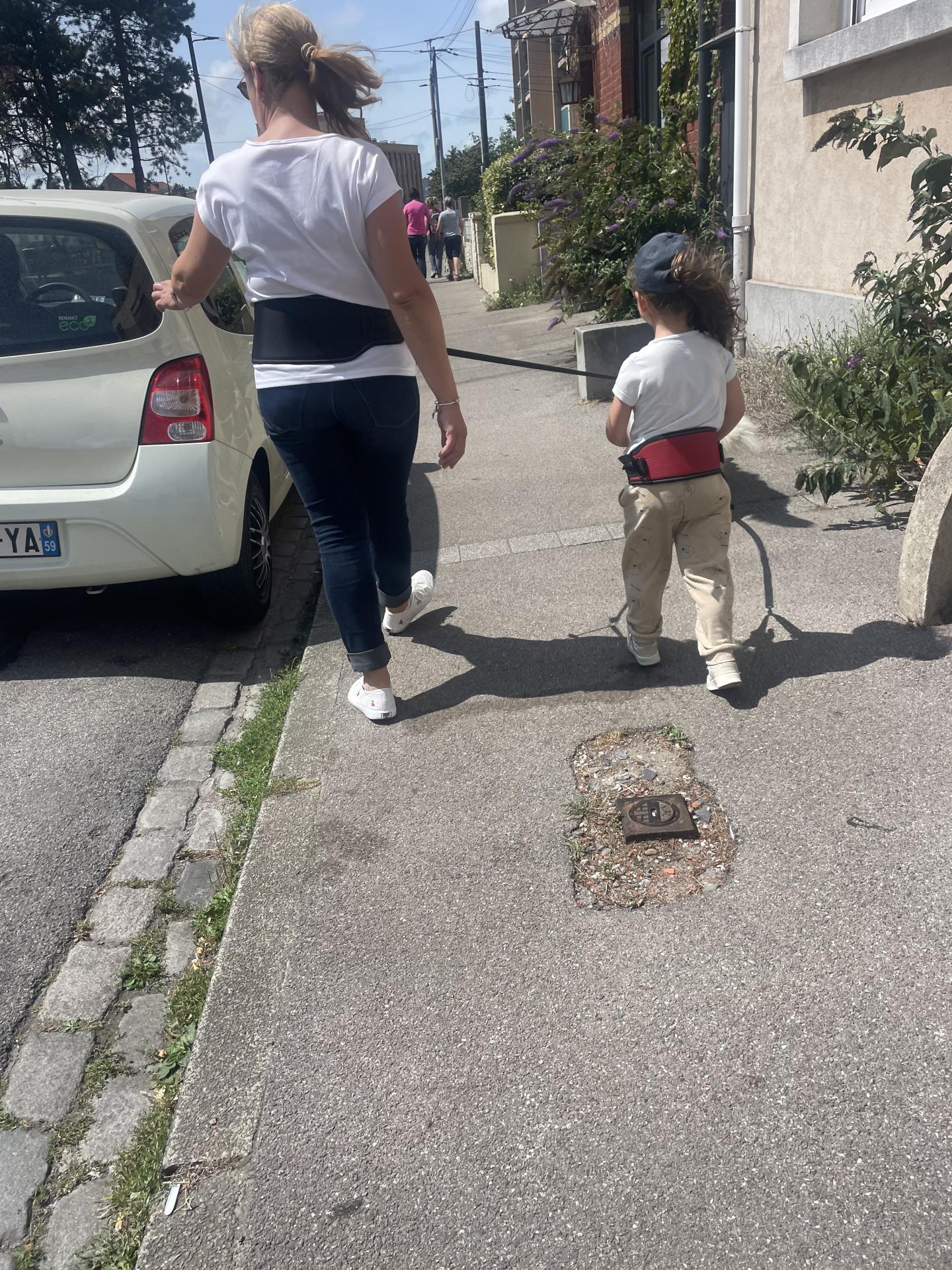Cani balade et médiation animale Pixapa