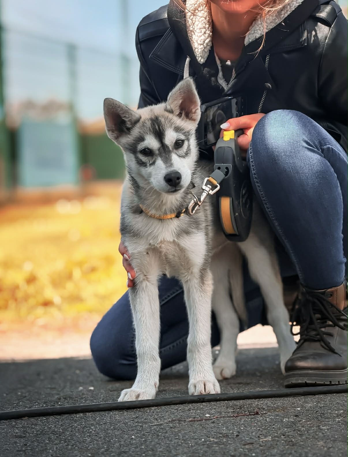 Réduire l’anxiété grâce aux animaux : mythe ou réalité ?
